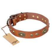 'Stunning Dress' Handmade FDT Artisan Tan Leather Rottweiler Collar - 1 1/2 inch (40 mm) wide