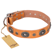 'Twinkle Twinkle' FDT Artisan Incredible Studded Tan Leather Rottweiler Collar with Silver-Like Circles