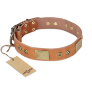 'The Middle Ages' FDT Artisan Handcrafted Tan Leather Rottweiler Dog Collar