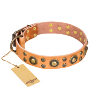 'Sophisticated Glamor' FDT Artisan Rottweiler Leather Collar with Old-bronze Plated Decorations