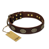 'Chocolate kiss' FDT Artisan Leather Rottweiler Collar with Old Bronze Look Oval Plates