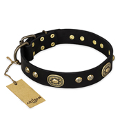 'High Fashion' FDT Artisan Studded with Plates Black Leather Rottweiler Collar