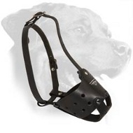Leather Rottweiler Muzzle for Frequent Use