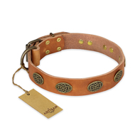 'Magic Amulet' FDT Artisan Tan Leather Rottweiler Collar with Oval Studs