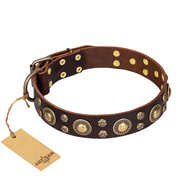 'Flower Melody' FDT Artisan Brown Leather Rottweiler Collar with Studs
