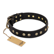 'Black Elegance' FDT Artisan Rottweiler Leather Dog Collar with Round Studs