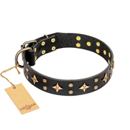 "A La Mode" FDT Artisan Walking Black Leather Rottweiler Collar "A La Mode" FDT Artisan Walking Black Leather Rottweiler Collar