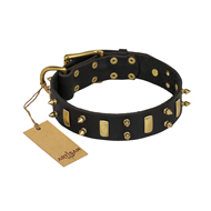 "Medieval Style" Leather Rottweiler Collar with Catchy Brass Plates and Spikes "Medieval Style" Leather Rottweiler Collar with Catchy Brass Plates and Spikes