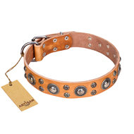"Extra Sparkle" FDT Artisan Tan Color Genuine Leather Rottweiler Collar "Extra Sparkle" FDT Artisan Tan Color Genuine Leather Rottweiler Collar