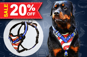 Leather dog harness