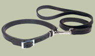 Leather Patent Dog Leash collar for Rottweiler