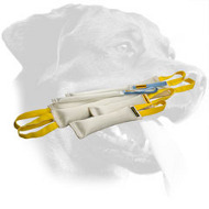 Rottweiler Fire Hose Bite Tugs Set for Active Training Rottweiler Fire Hose Bite Tugs Set for Active Training