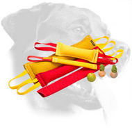 Rottweiler Bite Tugs Set with Three Gift Items Rottweiler Bite Tugs Set with Three Gift Items
