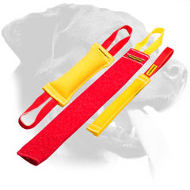 Rottweiler Puppy Training Dog Bite Set Rottweiler Puppy Training Dog Bite Set