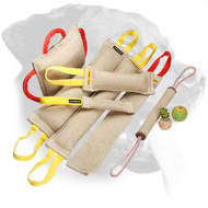 Rottweiler Bite Tugs Set Including Three Gift Items Rottweiler Bite Tugs Set Including Three Gift Items