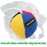 Multicolored French Linen Rottweiler Toy for Training Puppies and Young Dogs