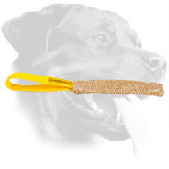 Rottweiler Bite Tug for Casual Training Rottweiler Bite Tug for Casual Training