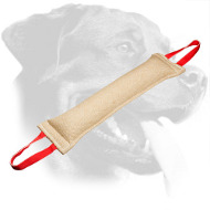 Rottweiler Bite Tug for Bite Skills Development Rottweiler Bite Tug for Bite Skills Development