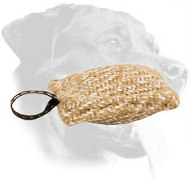 Rottweiler Bite Tug for Puppy Training Rottweiler Bite Tug for Puppy Training