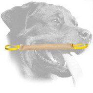Rottweiler Dog Bite Tug for Active Training Rottweiler Dog Bite Tug for Active Training