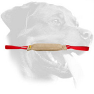 Rottweiler Bite Tug for Developing Prey Drive Rottweiler Bite Tug for Developing Prey Drive