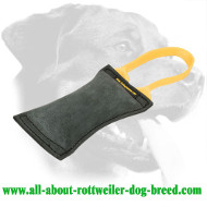 Rottweiler Puppy Leather Bite Tug for Primary Training Rottweiler Puppy Leather Bite Tug for Primary Training