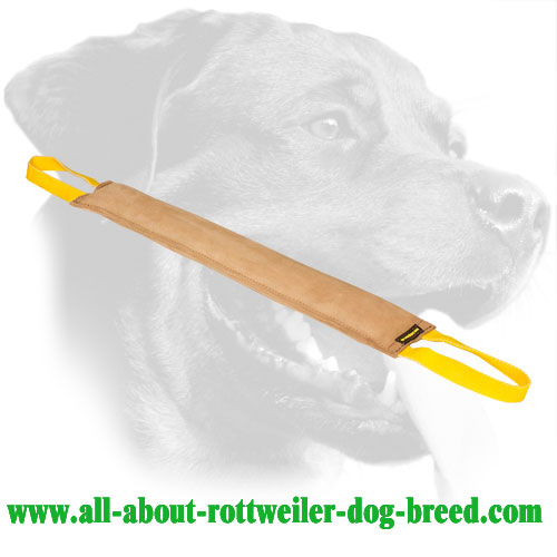 Rottweiler Bite Tug Made of Genuine Leather