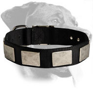 Rottweiler Nylon Collar with Vintage Plates