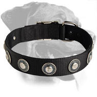 Rottweiler Nylon Collar with Silver Circles