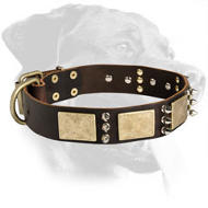 Gorgeous Rottweiler Leather Collar with Spikes and Plates