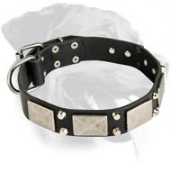 Rottweiler Exclusive Plated Leather Collar Rottweiler Exclusive Plated Leather Collar