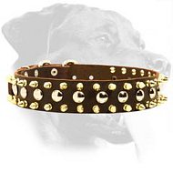 Spiked and Studded Leather Collar for Rottweiler