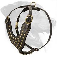 Fashion Walking Leather Dog Harness Studded with Half-Spheres for Rottweiler