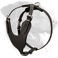 Heavy Duty Leather Harness for Rottweiler