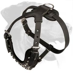 Pyramid Studded Leather Dog Harness for Rottweiler Breed
