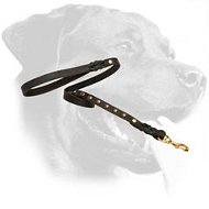 Leather Leash with studs for Rottweiler