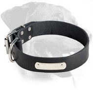 Classy Rottweiler Leather Collar with ID tag