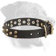 Rottweiler Genuine Leather Collar with Brass Decorations