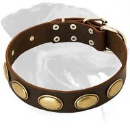 Vintage Leather Collar with oval plates for Rottweiler