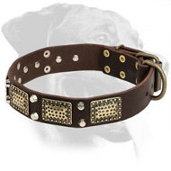 Rottweiler Leather Collar with Nickel Cones & Brass Plates Rottweiler Leather Collar with Nickel Cones & Brass Plates
