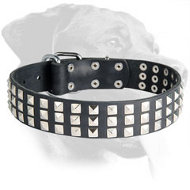 Rottweiler Leather Collar with Silver-Colored Pyramids