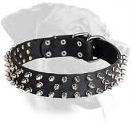 Stunning Spiked Leather Dog Collar for Rottweiler