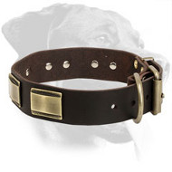 Rottweiler Custom Leather Collar with Brass Plates Rottweiler Custom Leather Collar with Brass Plates