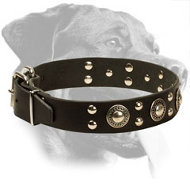 Trendy Rottweiler Collar with Mixed Decorations