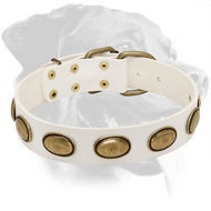 Rottweiler Genuine Leather Collar with Brass Decorations Rottweiler Genuine Leather Collar with Brass Decorations