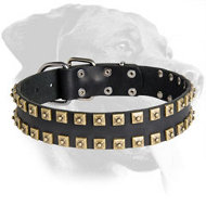 Exclusive Design Studded Leather Collar for Rottweiler Exclusive Design Studded Leather Collar for Rottweiler