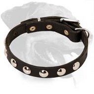 Elegant Thin Rottweiler Collar with Beautiful Nickel Studs