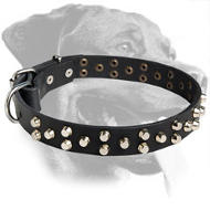 Rottweiler Gorgeous Design Leather Collar