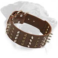 Trendy Leather Dog Collar with studs and spikes for Rottweiler