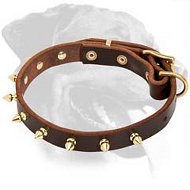 Leather Collar with one row of spikes for Rottweiler